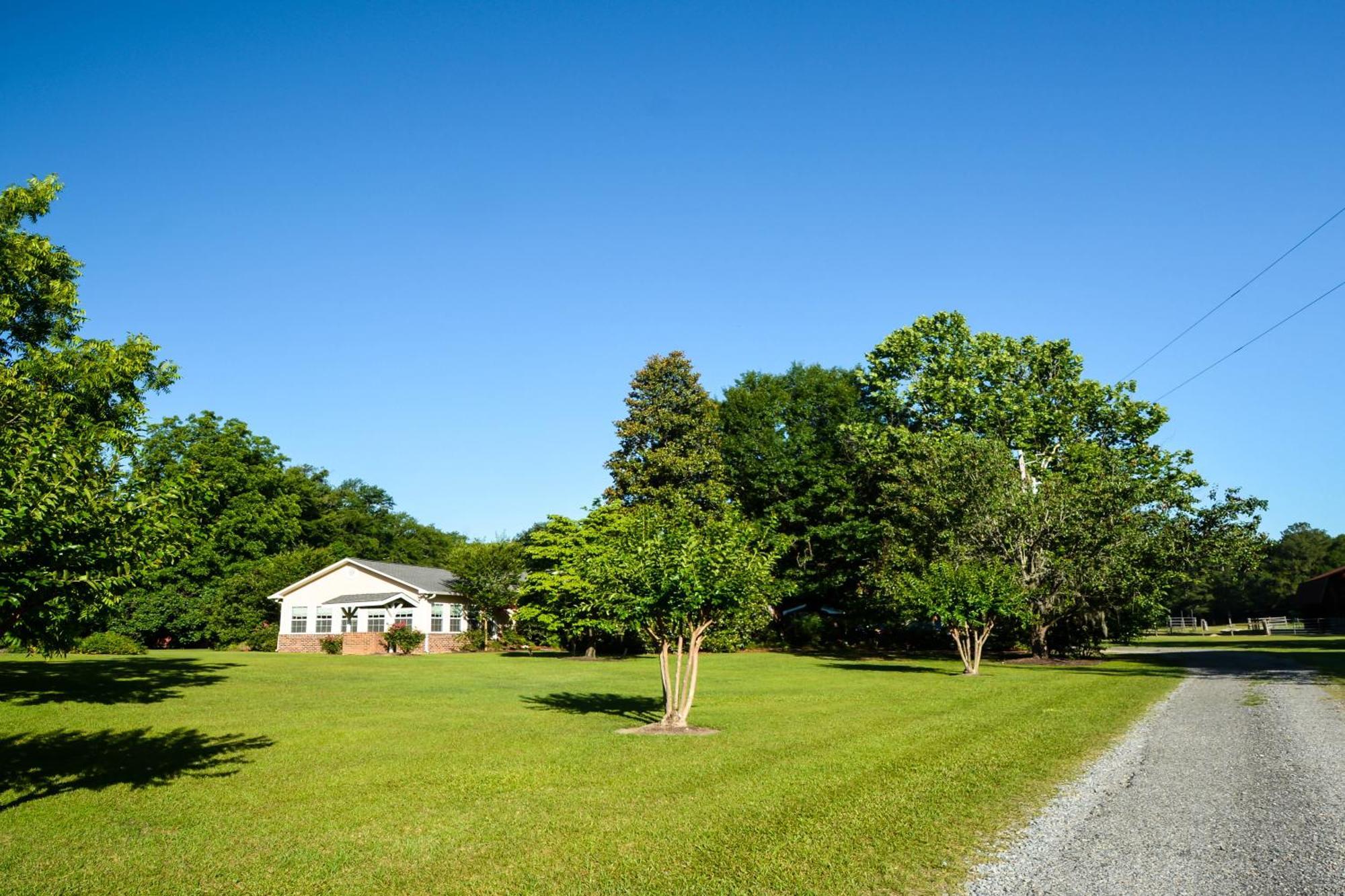 Bed and Breakfast Dublin Farm Esterno foto