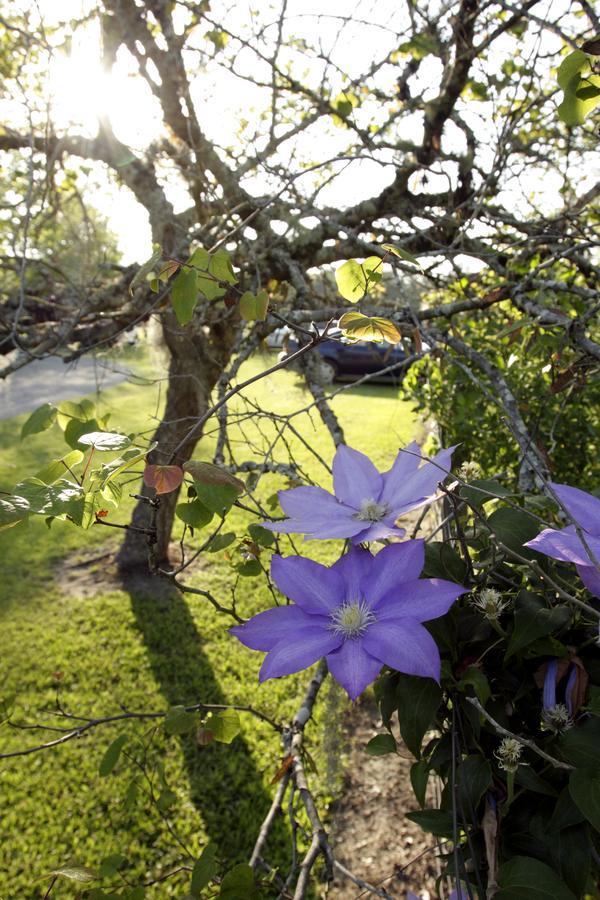 Bed and Breakfast Dublin Farm Esterno foto