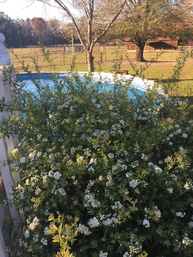 Bed and Breakfast Dublin Farm Esterno foto